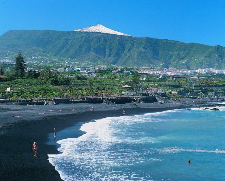 Las Terassas- Playa De Las Americas - Tenerife- Espagne Zewnętrze zdjęcie