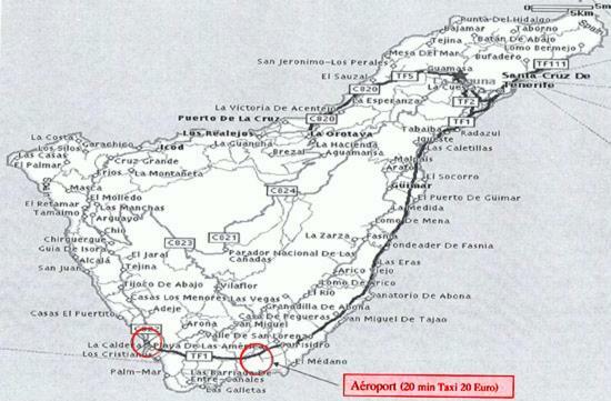 Las Terassas- Playa De Las Americas - Tenerife- Espagne Zewnętrze zdjęcie